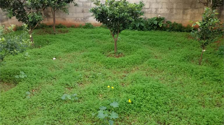 Mosta - Terraced House - 400sqm plot size