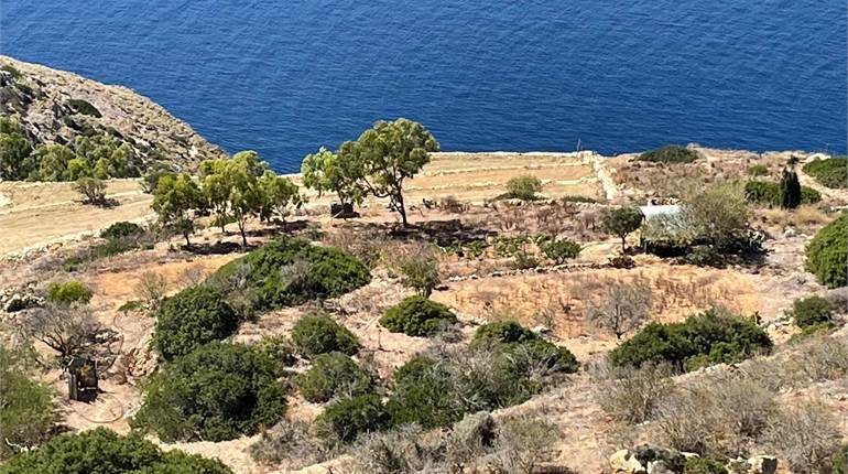 Dingli - Agricultural Land + Seaviews 