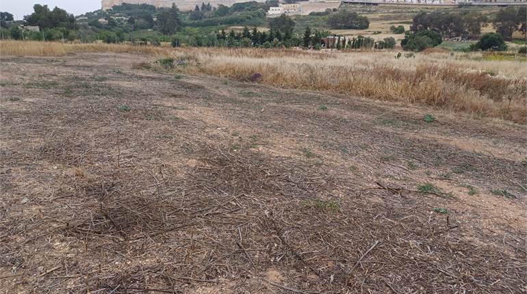Rabat - Agricultural Field One & Half of Tumolo