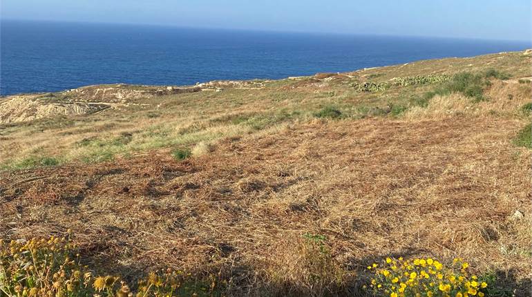Zebbug Gozo - Agricultural Land + Seaviews
