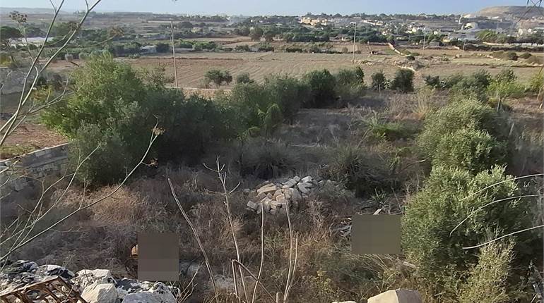 Naxxar - Field with Water + Electricity + Fruit Trees
