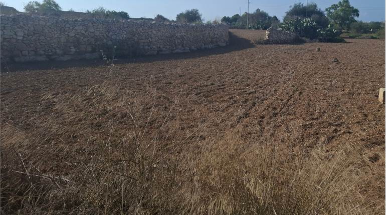 B'Bugia - Circa 1840 sqm Field 